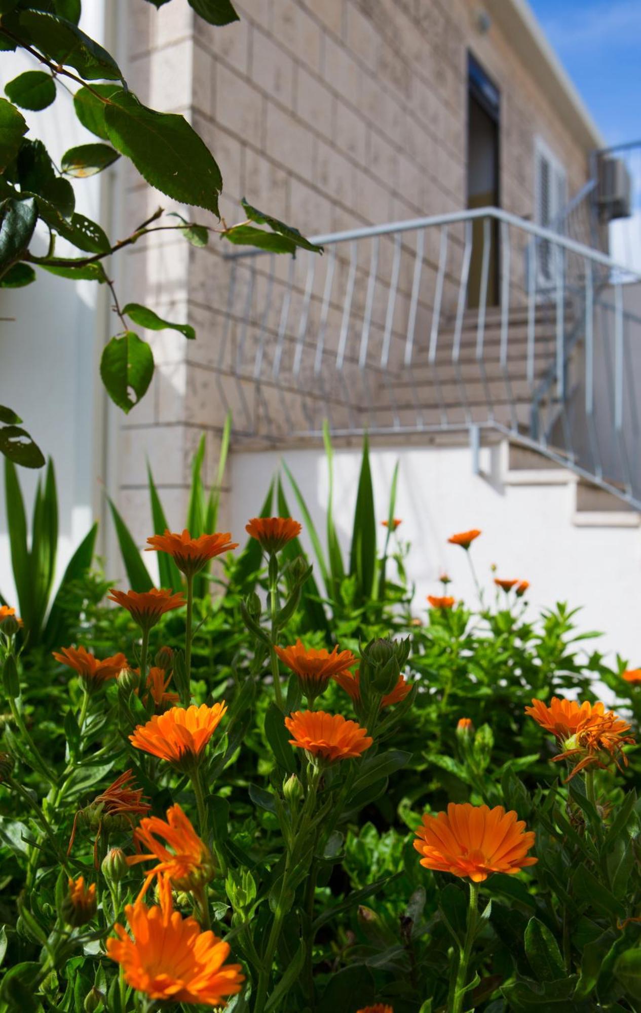Aida Apartments And Rooms For Couples And Families Free Parking Dubrovnik Eksteriør billede